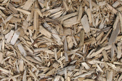 biomass boilers Saron